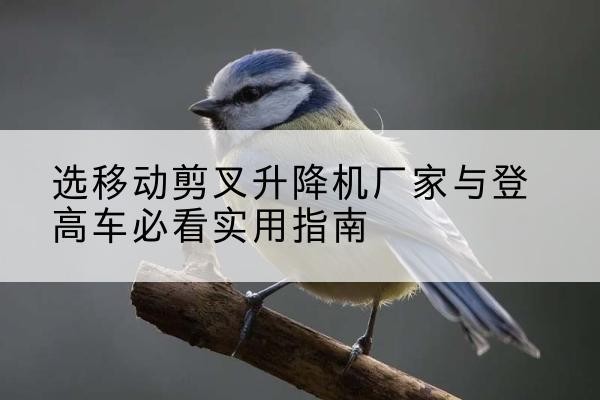 洛隆电动升降机厂家-选移动剪叉升降机厂家与登高车必看实用指南