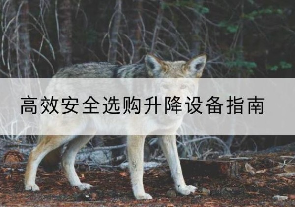 洛隆升降货梯厂家推荐-*安全选购升降设备指南